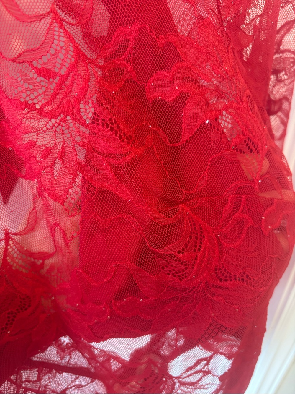 La Vie En Rose Red Lace Sheer Long-Sleeve Bodysuit - Picture 12 of 12